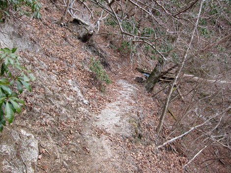 20200110hike (313)